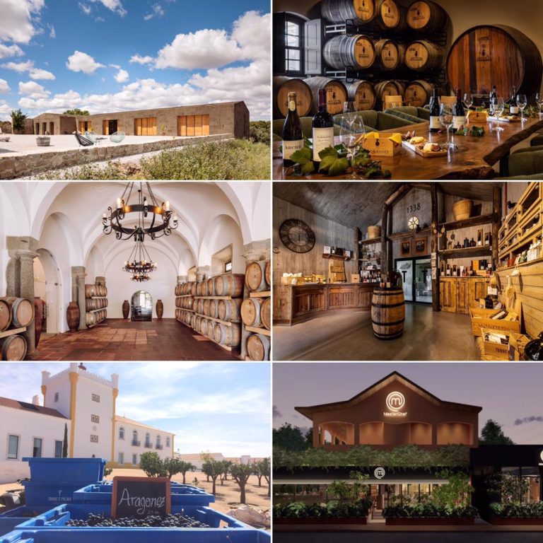 Vinhos alentejanos brilham no ranking da Forbes