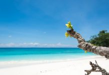 Bahamas se consolidam como polo de luxo com novos resorts