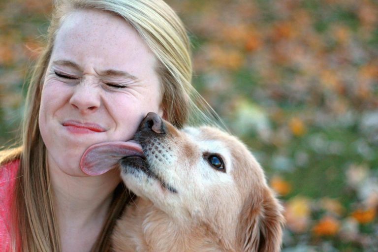 Lambidas de Cachorro: 5 coisas que você precisa saber
