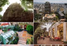 Cidade Matarazzo: arte, sabores e vistas de São Paulo