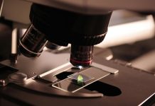 Ciência e Criação: Um novo olhar