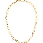 WhatsApp Image 2026-01-29 at 11.07.33 (3)