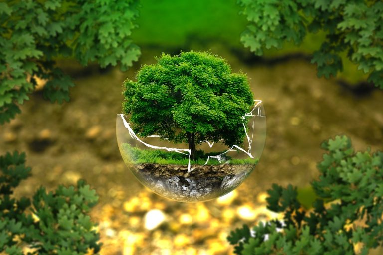 O Planeta começa no seu quintal