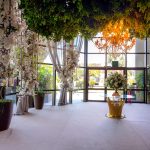 WhatsApp Image 2026-02-23 at 15.07.24 (1)