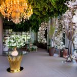 WhatsApp Image 2026-02-23 at 15.07.24 (2)