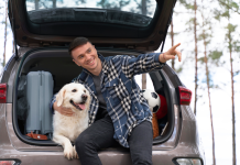 Check-up Pet: a garantia de uma viagem sem imprevistos