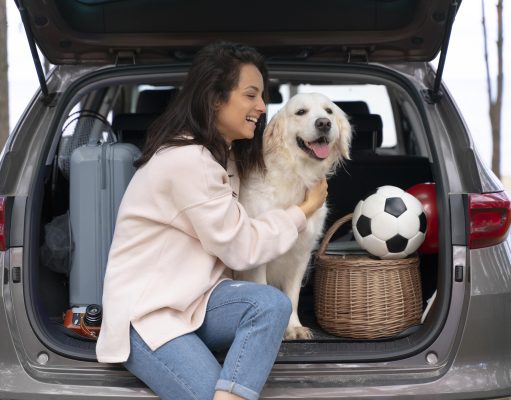 Vai viajar com o pet? não esqueça o check-up