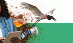 banner_web_pantanal_tech_ms_2026_uems_728x90 (1)