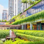 86034e40bba1b94724e8b7e1f2eb97daa19f0e55-1600×1067