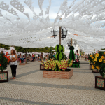 Festas do Povo de Campo Maior – crédito Turismo do Alentejo (1)
