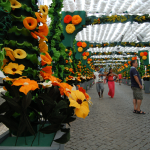Festas do Povo de Campo Maior – crédito Turismo do Alentejo (3)