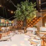 pexels-bertellifotografia-17056981 (1)