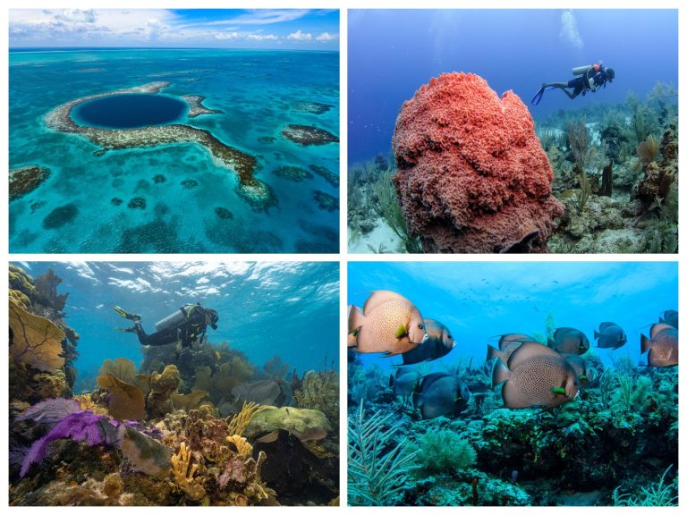 Mergulhe no inesquecível Great Blue Hole