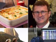 Cozinhando para o Jeff: Lasanha de Espinafre é a receita certa