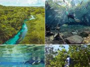 Bonito vive auge das águas cristalinas e impulsiona turismo na estação seca