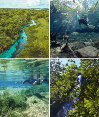 Bonito vive auge das águas cristalinas e impulsiona turismo na estação seca