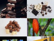 Dia Mundial do Chocolate: uma paixão que atravessa gerações e movimenta bilhões no mundo