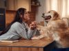 Entenda como os pets interpretam o tempo