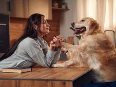 Entenda como os pets interpretam o tempo