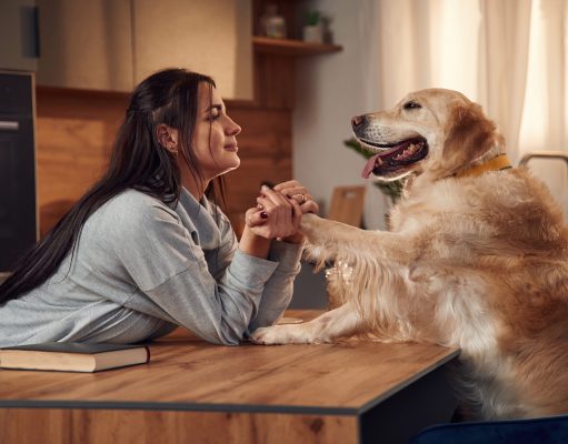 Entenda como os pets interpretam o tempo