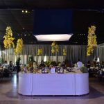 DSC_3533
