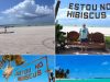 Praia de Ipioca e Hibiscus Beach Club revelam um dos cenários mais encantadores de Maceió