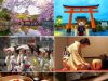 Kyoto além dos cartões-postais
