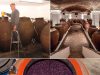 Alentejo mantém viva a tradição do vinho de talha