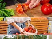 Em MS, IFPA lança campanha para estimular o consumo de tomate no varejo