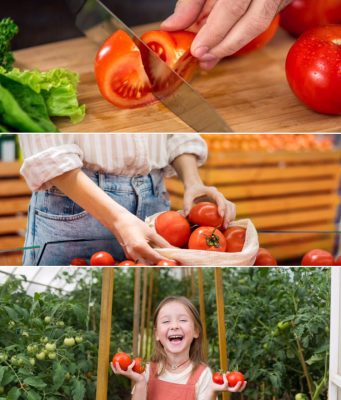 Em MS, IFPA lança campanha para estimular o consumo de tomate no varejo