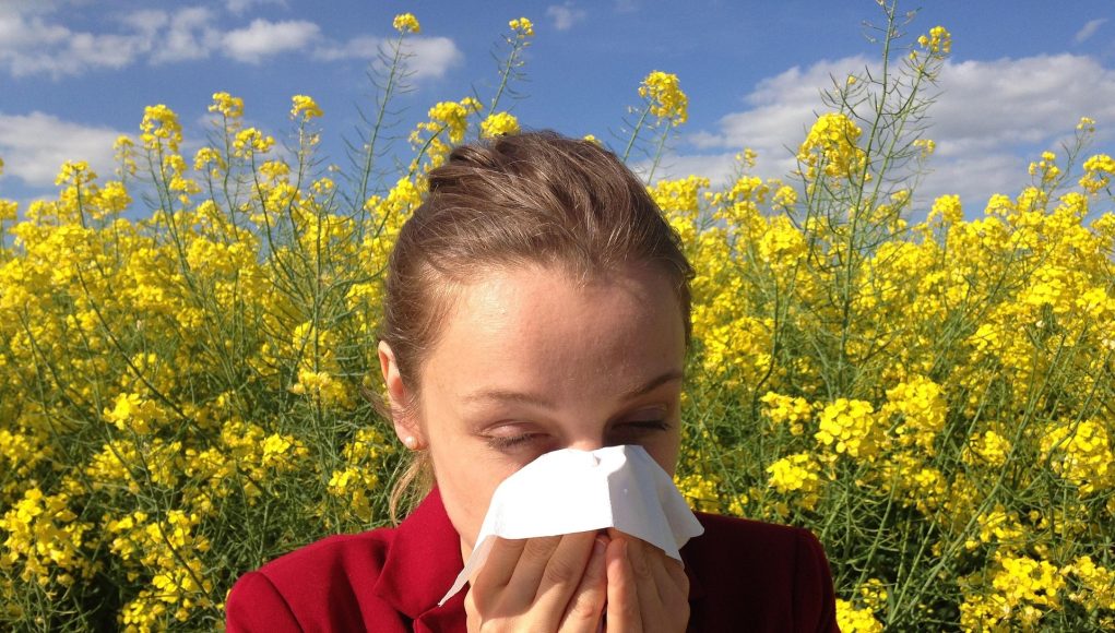 cenczi-allergy-1738191-1920