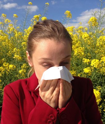 Rinite na primavera: entenda os gatilhos e veja como prevenir