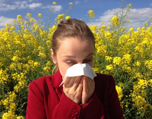 Rinite na primavera: entenda os gatilhos e veja como prevenir