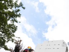 Grandes eventos movimentam São Paulo até o fim do ano